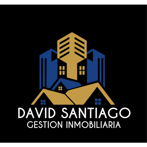 David Santiago Real Estate